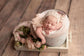 Newborn Victoria Bonnet