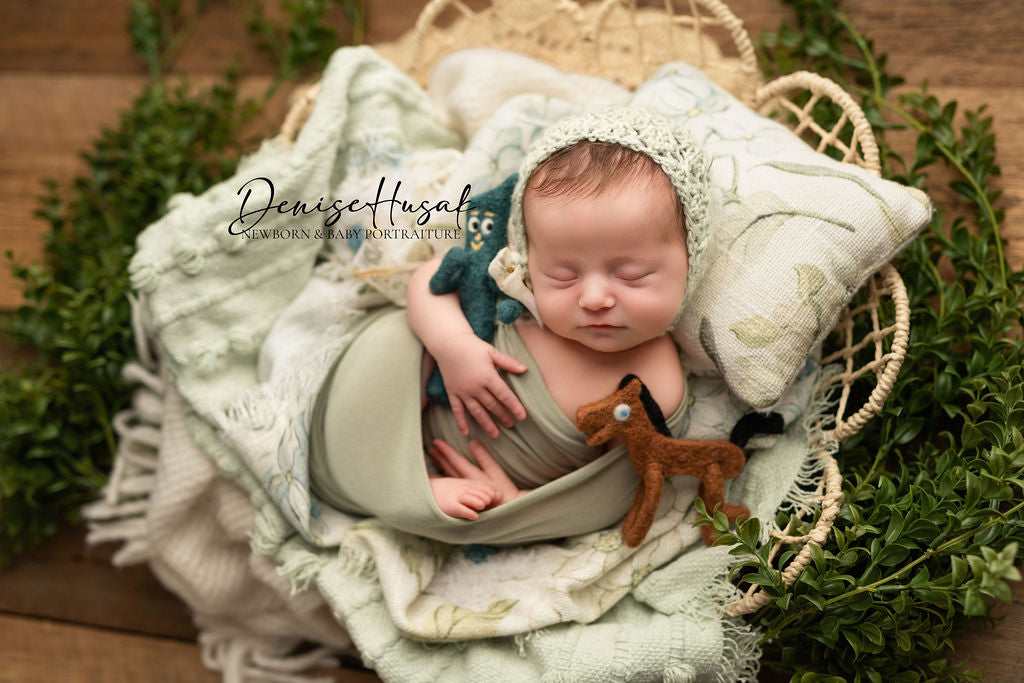 Newborn Victoria Bonnet